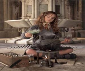 yapboz Hermione Granger, Harry arkadaş, bir iksir yapımında